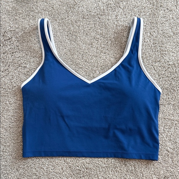 aerie Other - Aerie Blue and White Sports Bra 3/$18